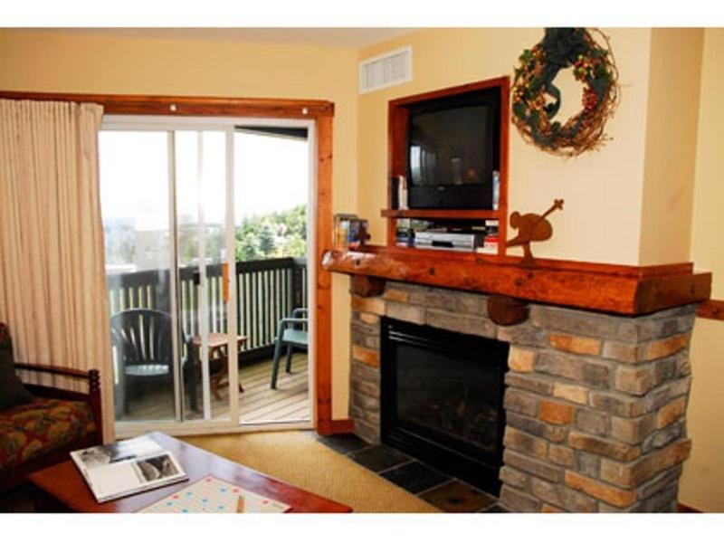 Deluxe One-Bedroom Condo interior
